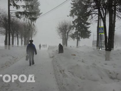 Гололед с мокрой метелью и легкий мороз придут в Марий Эл завтра
