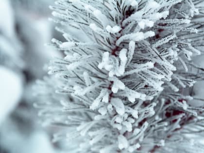 Роспотребнадзор Марий Эл рассказал как избежать обморожения