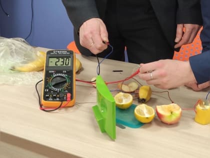 Физмат МарГУ стал центром притяжения для школьников