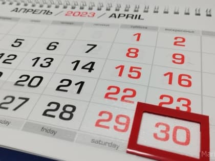 В Марий Эл стартовала декларационная кампания 2023 года