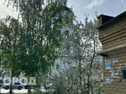 Новые заморозки, снег и тропические ливни: россиян ждет аномальная погода до конца недели