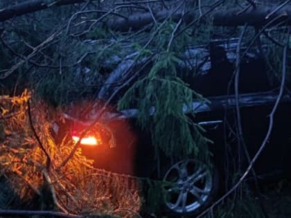 В республике Марий Эл 13 человек госпитализированы в больницы после урагана