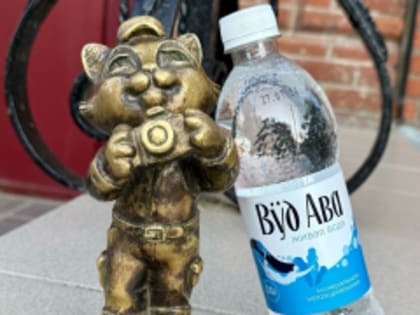 От лица мэрии города Йошкар-Олы выражаем искреннюю благодарность ООО «Производственная компания «Лина»