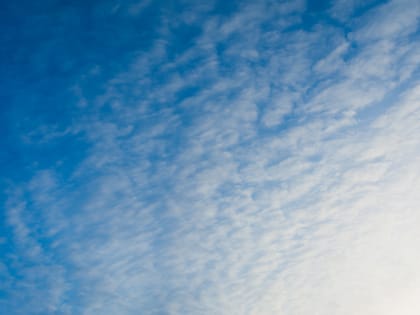 10 сентября местами по республике Марий Эл ожидается усиление северо-восточного ветра с порывами 15-17 м/с