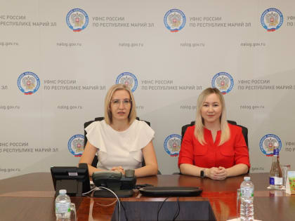 О порядке представления документов по требованию рассказали на вебинаре