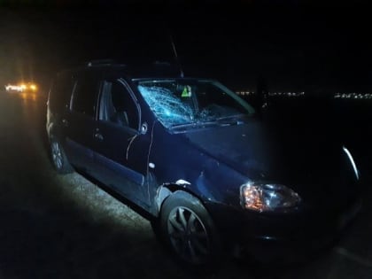 В Советском районе Марий Эл водитель насмерть сбил незаметного пешехода