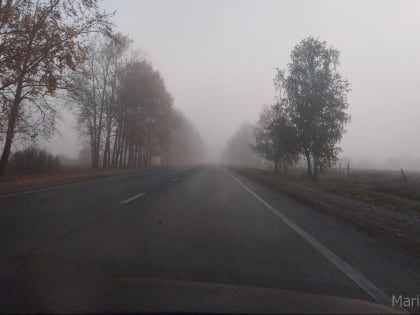 На Марий Эл опустился туман