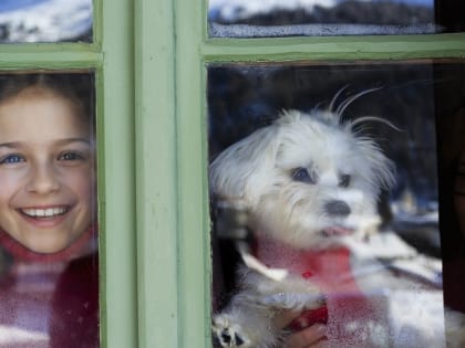 Родители йошкар-олинских школьников могут разрешить детям завтра остаться дома