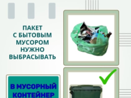 Казалось бы, простые правила: фантик - в урну, мусорный пакет - в контейнер, но далеко не все придерживаются этих очевидных требований. Все, что зимой жители «прятали» в сугробы, в