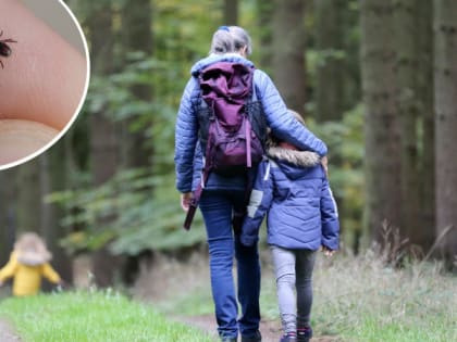 В Марий Эл четверть пострадавших от укусов клещей составляют дети до 14 лет