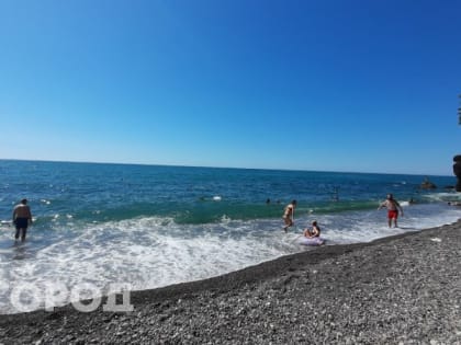 Черное море кишит ими: опасные бактерии, которые убьют вас