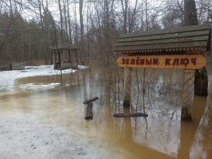 В Марий Эл из-за паводка невозможно посетить Зеленый ключ