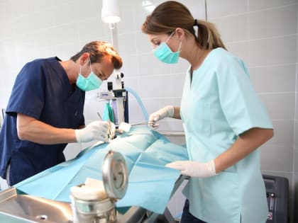 Стартует эксперимент по организации интернатуры для ветеринарных врачей