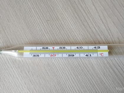 В Марий Эл 182 человека заболели гриппом на минувшей неделе