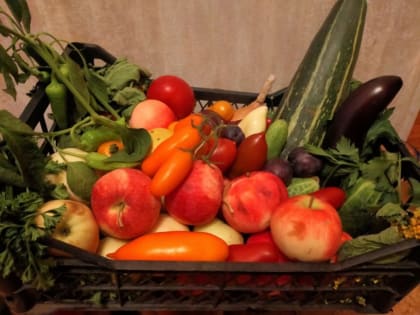 В Марий Эл цены на бензин выросли на 3,5% за месяц