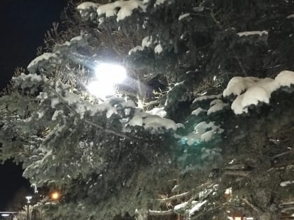 По ночам в Марий Эл может похолодать до -37 градусов