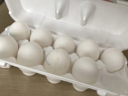 В Марий Эл серьёзно увеличился рост заболеваемости сальмонеллёзом