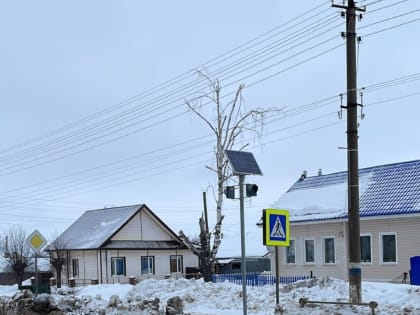 Три пешеходных перехода Козьмодемьянска обрели светофоры