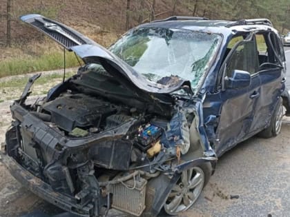 На трассе Марий Эл произошло страшное ДТП: есть погибшие