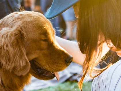 Обнаружен вредоносный организм, которого можно заполучить от домашнего любимца