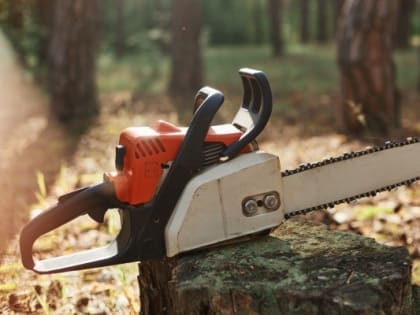 Житель Козьмодемьянска позарился на чужой мотоблок и две бензопилы