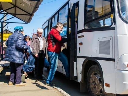 В сады Марий Эл – «Кучки», «Клен» и «Чернушка» будут регулярно ходить автобусы