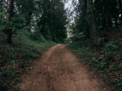 В Марий Эл 433 жителя пострадали от укусов клещей в этом сезоне