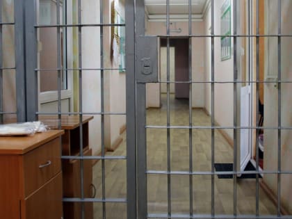 12 млрд рублей выделено на строительство первой гибридной колонии