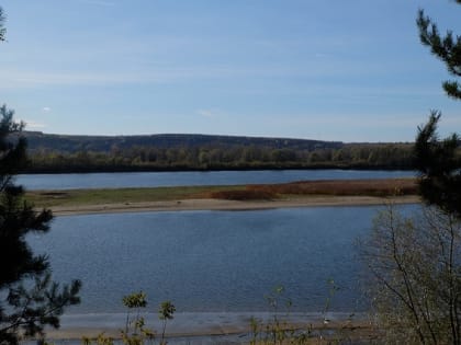 Специалисты назвали причины низкого уровня воды в реке Волге