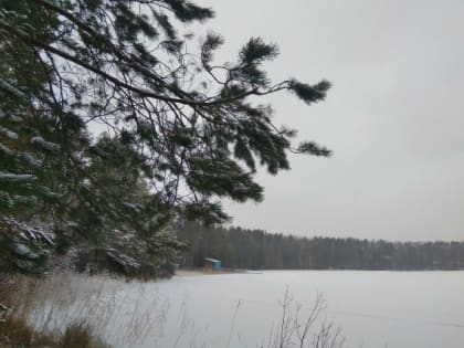 Санаторий «Сосновый бор» будет преобразован из унитарного предприятия в автономное учреждение