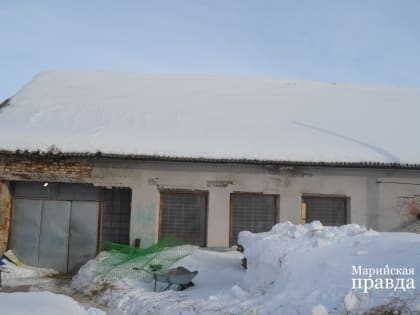 Как Руслан Бурханов из Марий Эл сделал ставку на яйца