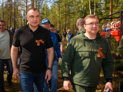 В память о погибших в Великой Отечественной войне в Марий Эл высажено более 800 тысяч деревьев