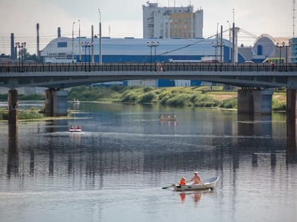 Из-за птичьего гриппа на отдельных территориях Марий Эл объявлен карантин