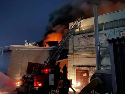 Пожарные предотвратили взрыв газовых баллонов во время возгорания на предприятии в Йошкар-Оле