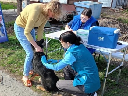 В Йошкар-Оле у ДКРА развернётся мобильный пункт вакцинации против бешенства