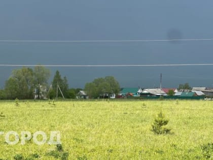 Дождь, гроза, порывы ветра: прогноз погоды в Марий Эл на четверг