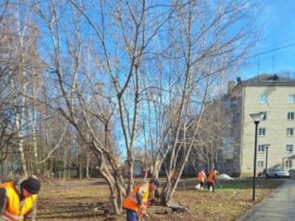 Завтра, 12 марта, в Йошкар-Оле пройдет второй общегородской субботник