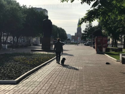 На неделе в Марий Эл похолодает до +19 градусов