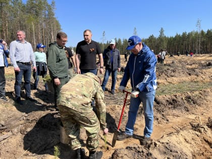«Единая Россия» внесла весомый вклад в восстановление и приумножение лесного фонда Республики Марий Эл