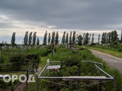 Как правильно провести Троицу: на кладбище ни ногой