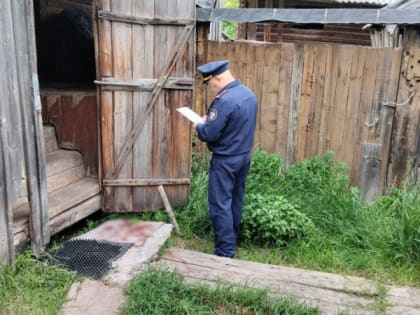 Трагедия в Марий Эл: осуждение за убийство приятеля во время застолья