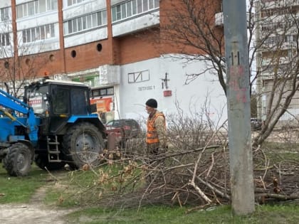 В Йошкар-Оле сотрудники МУП «Город» проводят санитарную обрезку деревьев