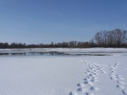 На реке Сердяжка в Сернурском районе спасли человека