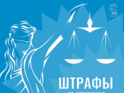 8 нарушителей административного законодательства были привлечены к ответственности на первой неделе декабря