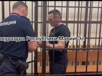 В Марий Эл вынесли приговор 59-летнему педофилу из Казани