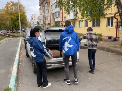 Йошкар-олинские единороссы оказали помощь приюту для безнадзорных животных