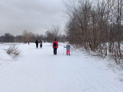 Семьи начнут получать в 2 раза больше: государство решило раздать по 20 тысяч