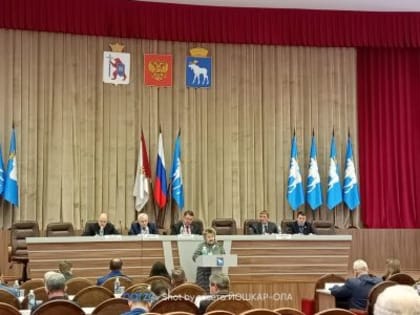 Депутаты городского Собрания утвердили бюджет Йошкар-Олы на 2024 год