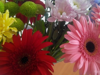 Жители Йошкар-Олы на подарки учителям готовы потратить 2 000 рублей