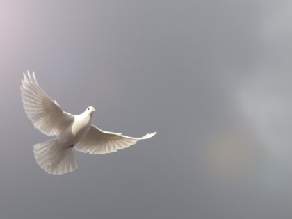 В Благовещение в небо Йошкар-Олы поднимутся белые голуби